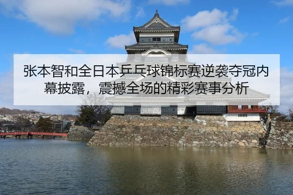 张本智和全日本乒乓球锦标赛逆袭夺冠内幕披露，震撼全场的精彩赛事分析