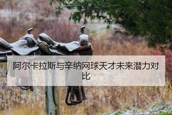 阿尔卡拉斯与辛纳网球天才未来潜力对比